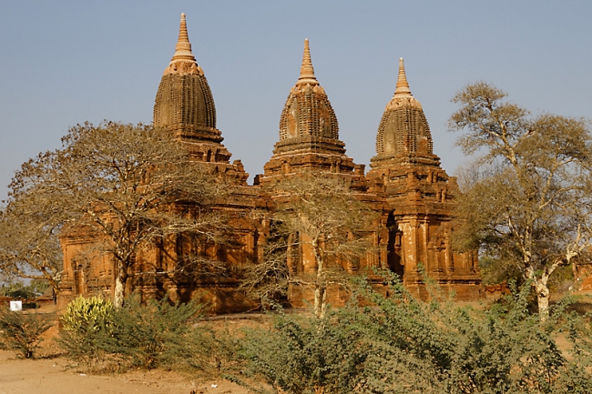 Pagan-Phaya Thon Zu-046